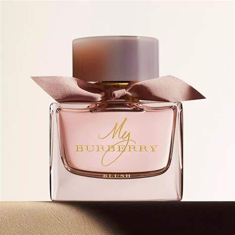 burberry macy's cologne|which burberry cologne smells best.